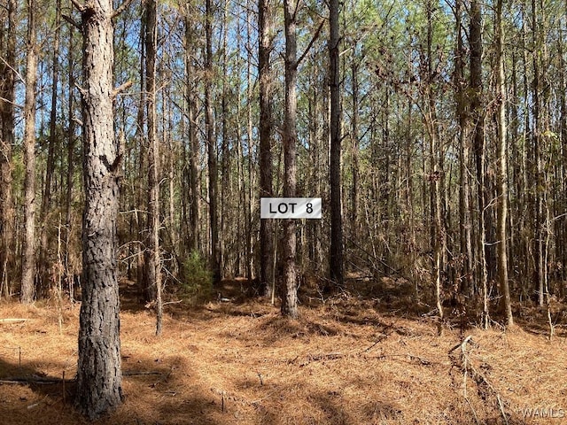 7 Tilly Branch Rd, Northport, AL 35475