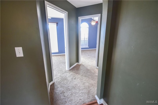 hall featuring light colored carpet