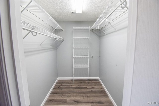 walk in closet featuring dark hardwood / wood-style floors