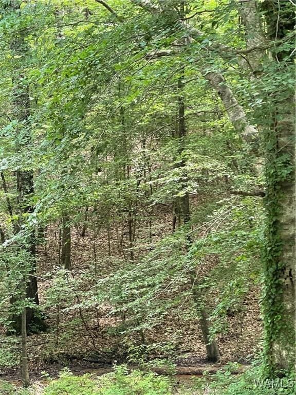 0 Hargrove Rd E, Tuscaloosa, AL 35453 - photo 7