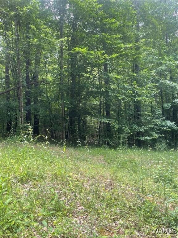 0 Hargrove Rd E, Tuscaloosa, AL 35453 - photo 2
