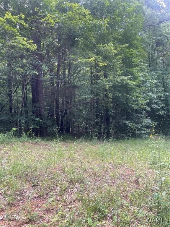 0 Hargrove Rd E, Tuscaloosa, AL 35453 - photo 1