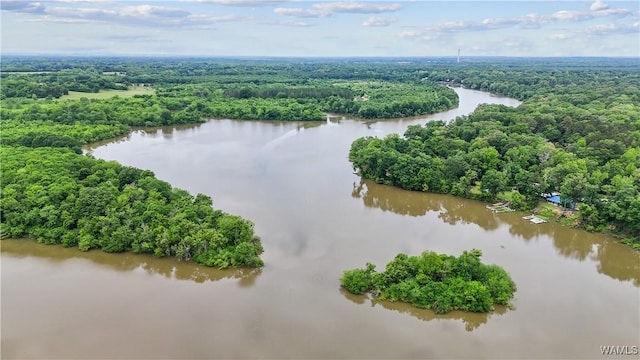 aerial view of a heavily wooded area and a nearby body of water