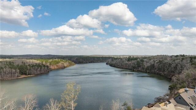 LOT31 Highland Lakes Pointe, Northport, AL 35475