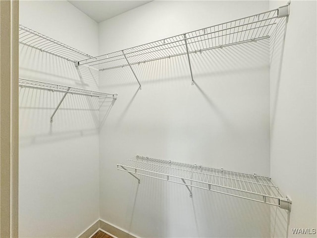8 Northside Rd, Berry, AL 35546 - view of spacious closet