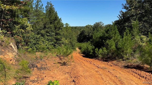 0004 Scottsville Rd, West Blocton, AL 35184 - photo 3