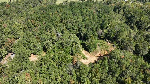 0004 Scottsville Rd, West Blocton, AL 35184 - photo 5