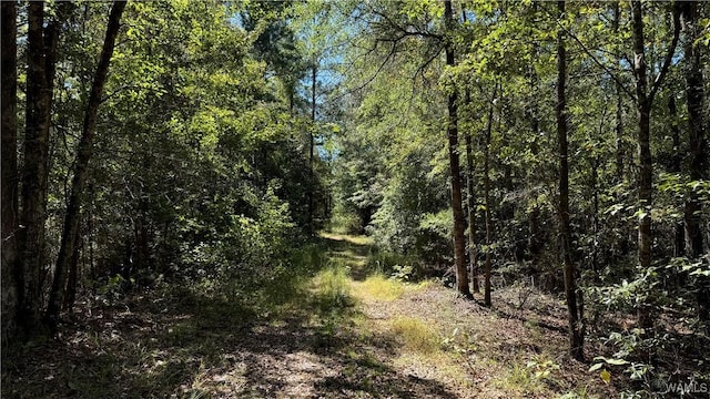 0004 Scottsville Rd, West Blocton, AL 35184 - photo 2