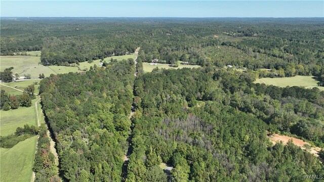 0004 Scottsville Rd, West Blocton, AL 35184 - photo 7