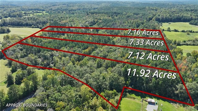 0004 Scottsville Rd, West Blocton, AL 35184 - photo 8