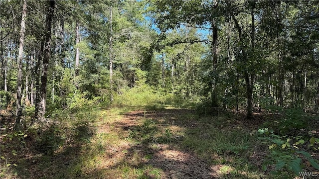0004 Scottsville Rd, West Blocton, AL 35184 - photo 1