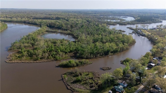 2194 Oak Village Rd, Akron, AL 35441 - aerial view of property and surrounding area featuring a forest and a large body of water