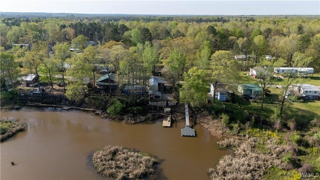 birds eye view of property with a water view and a view of trees