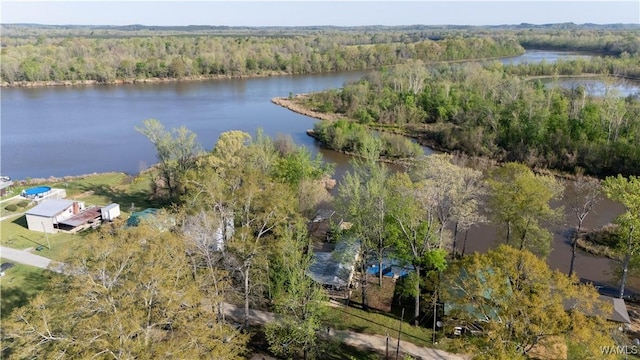bird's eye view featuring a water view and a view of trees