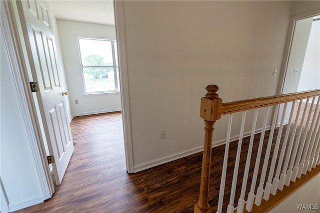 2216 56th St E, Tuscaloosa, AL 35405 - photo 30