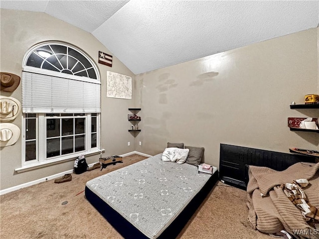 1902 45th Ave, Northport, AL 35476 - carpeted bedroom with lofted ceiling, a textured ceiling, and baseboards