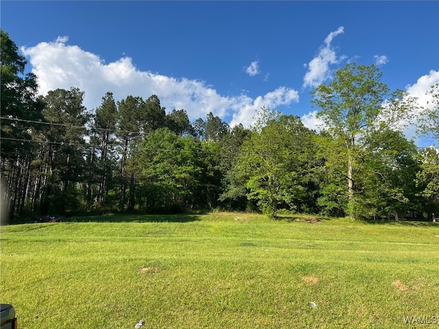 00 Alla Dr, Coker, AL 35452