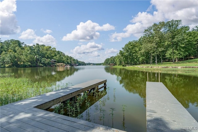 16035 Lake Hills Ln, Northport, AL 35475 - photo 5