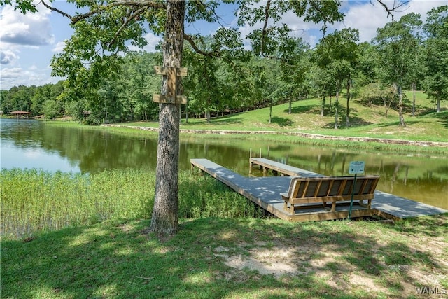 16035 Lake Hills Ln, Northport, AL 35475 - photo 6
