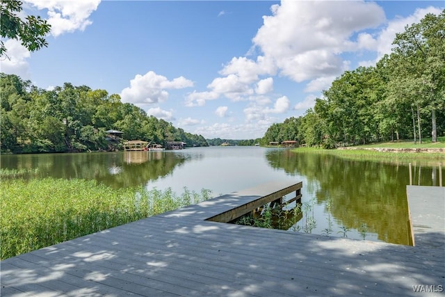 16035 Lake Hills Ln, Northport, AL 35475 - photo 4