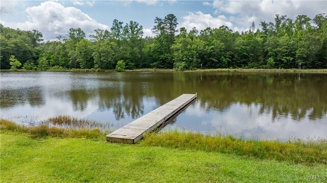 471 Dogwood Hills Ln, Gallion, AL 36742 - photo 26