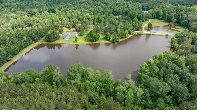 471 Dogwood Hills Ln, Gallion, AL 36742 - photo 27
