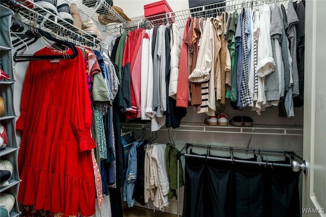 view of spacious closet