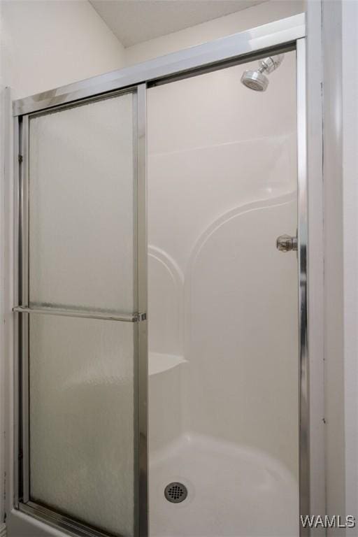 bathroom with a shower with shower door