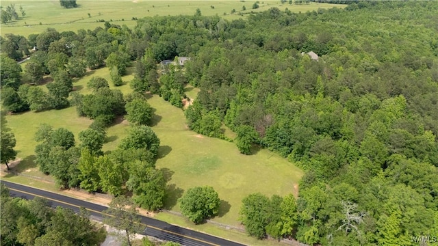 17957 Romulus Rd, Ralph, AL 35480 - drone / aerial view of a heavily wooded area