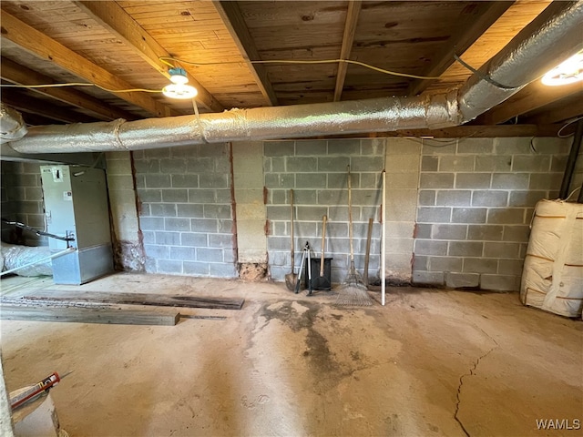 basement with heating unit