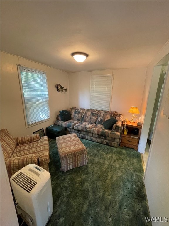 living room featuring dark carpet