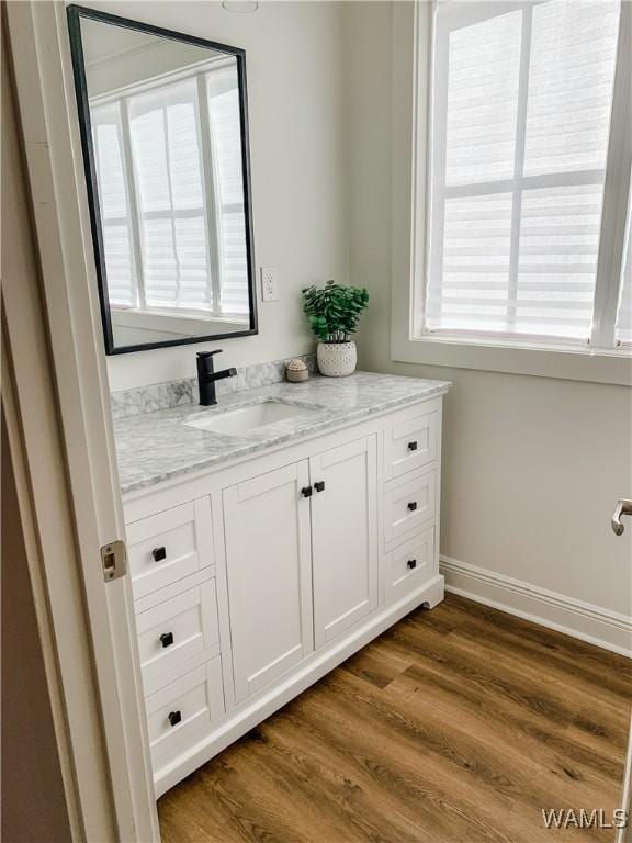 bathroom with vanity, a wealth of natural light, and wood-type flooring