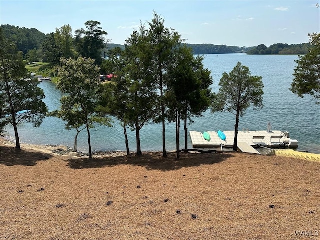 property view of water featuring a dock