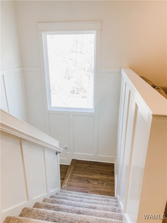 stairs with wood-type flooring