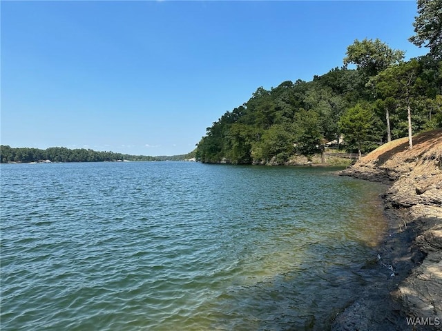 view of water feature