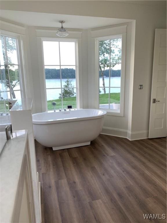 bathroom featuring hardwood / wood-style floors, a tub to relax in, a wealth of natural light, and a water view