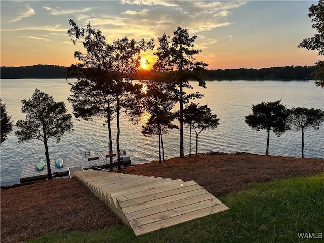 water view with a dock