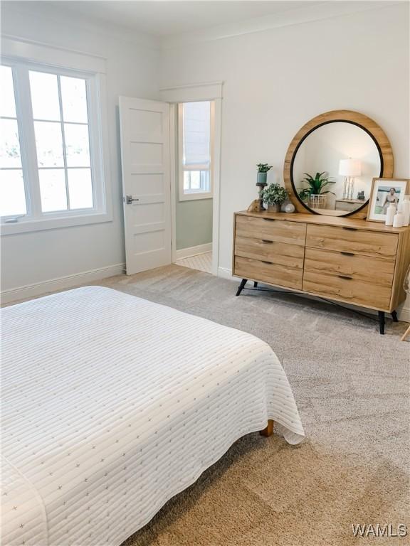 bedroom featuring multiple windows and light colored carpet