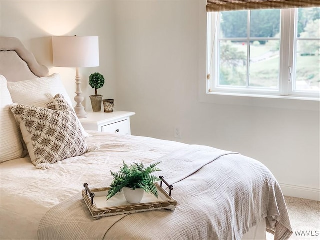 bedroom with multiple windows and carpet