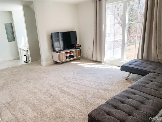 carpeted living room with electric panel