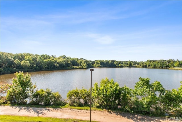 4468 21st St, Northport, AL 35476 - water view featuring a heavily wooded area