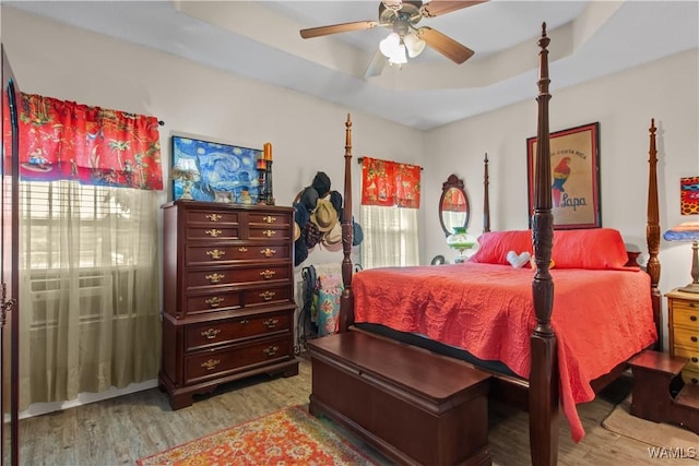 4468 21st St, Northport, AL 35476 - bedroom featuring wood finished floors, a tray ceiling, and a ceiling fan