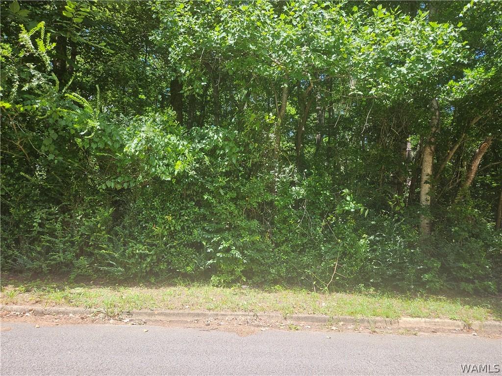 00 Northwood Lake Dr E, Northport, AL 35473 - photo 1