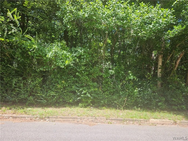 00 Northwood Lake Dr E, Northport, AL 35473 - photo 1