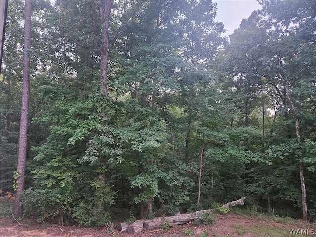 00 Northwood Lake Dr E, Northport, AL 35473 - photo 2