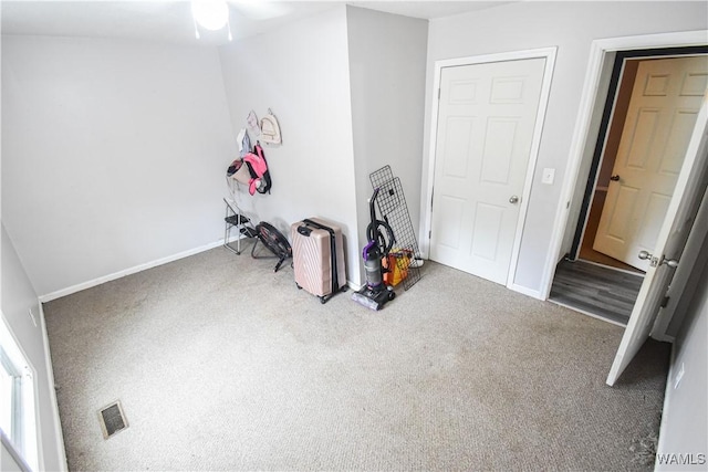 misc room with carpet