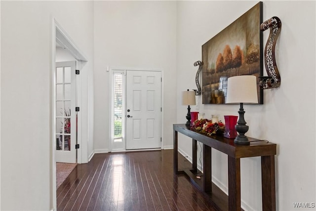 entrance foyer with dark hardwood / wood-style floors