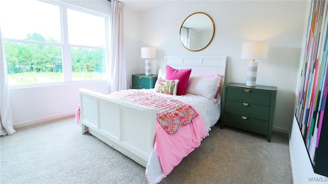 9349 Havenridge Loop, Tuscaloosa, AL 35405 - bedroom with carpet, multiple windows, and baseboards
