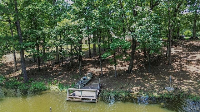 501 Waterside Cir, Mccalla, AL 35111 - photo 31