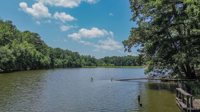 501 Waterside Cir, Mccalla, AL 35111 - photo 32